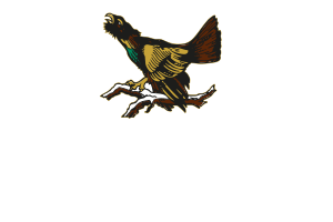 Auerhahn-Bräu Biere