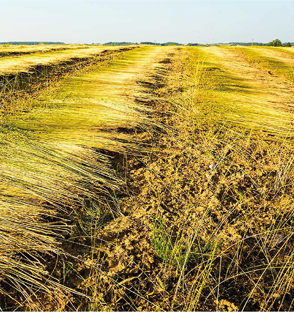 Flachs als Werkstoff