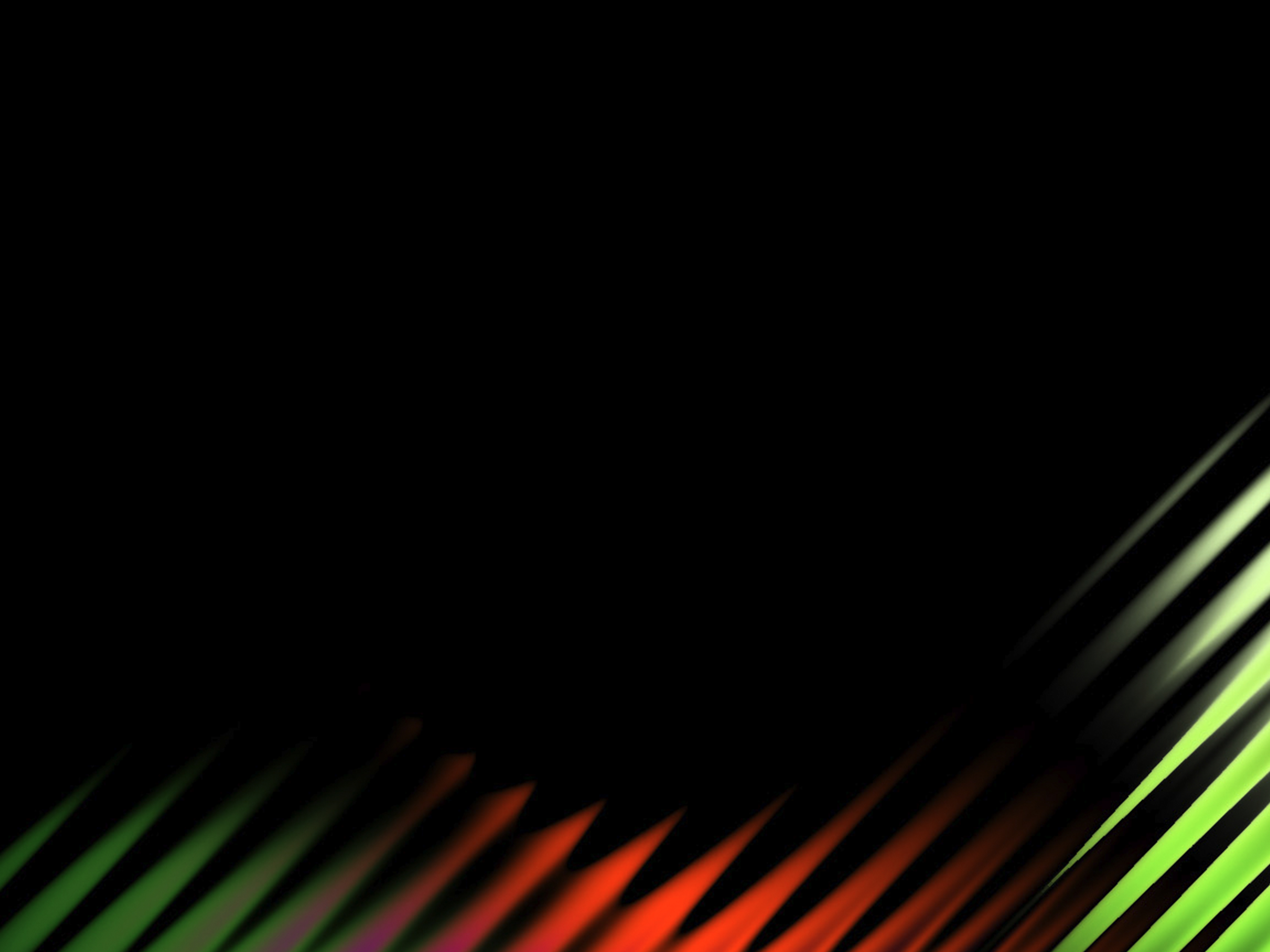 Grafikdesign Zebra