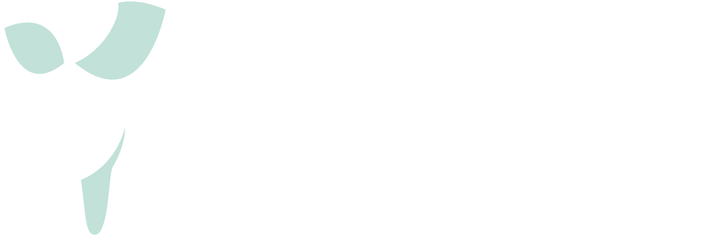 Clausen Dental Logo
