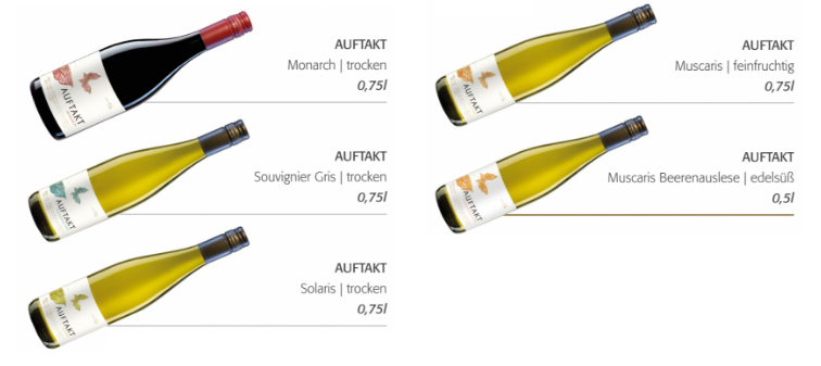 Weinserie Auftakt (Weingut Abthof)