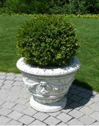 Gartentopf Hortensie