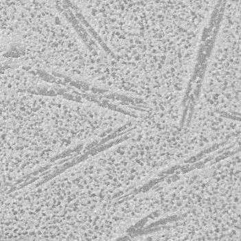 Alumina Platelet Toughened Zirconia