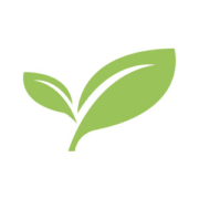 Biogas-Strom