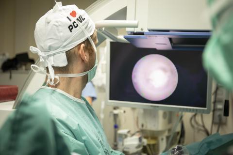 Swiss Urology Academy