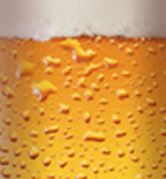 Brauerei- und Bierkultur-Lahnstein