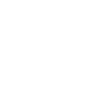 Multimedia