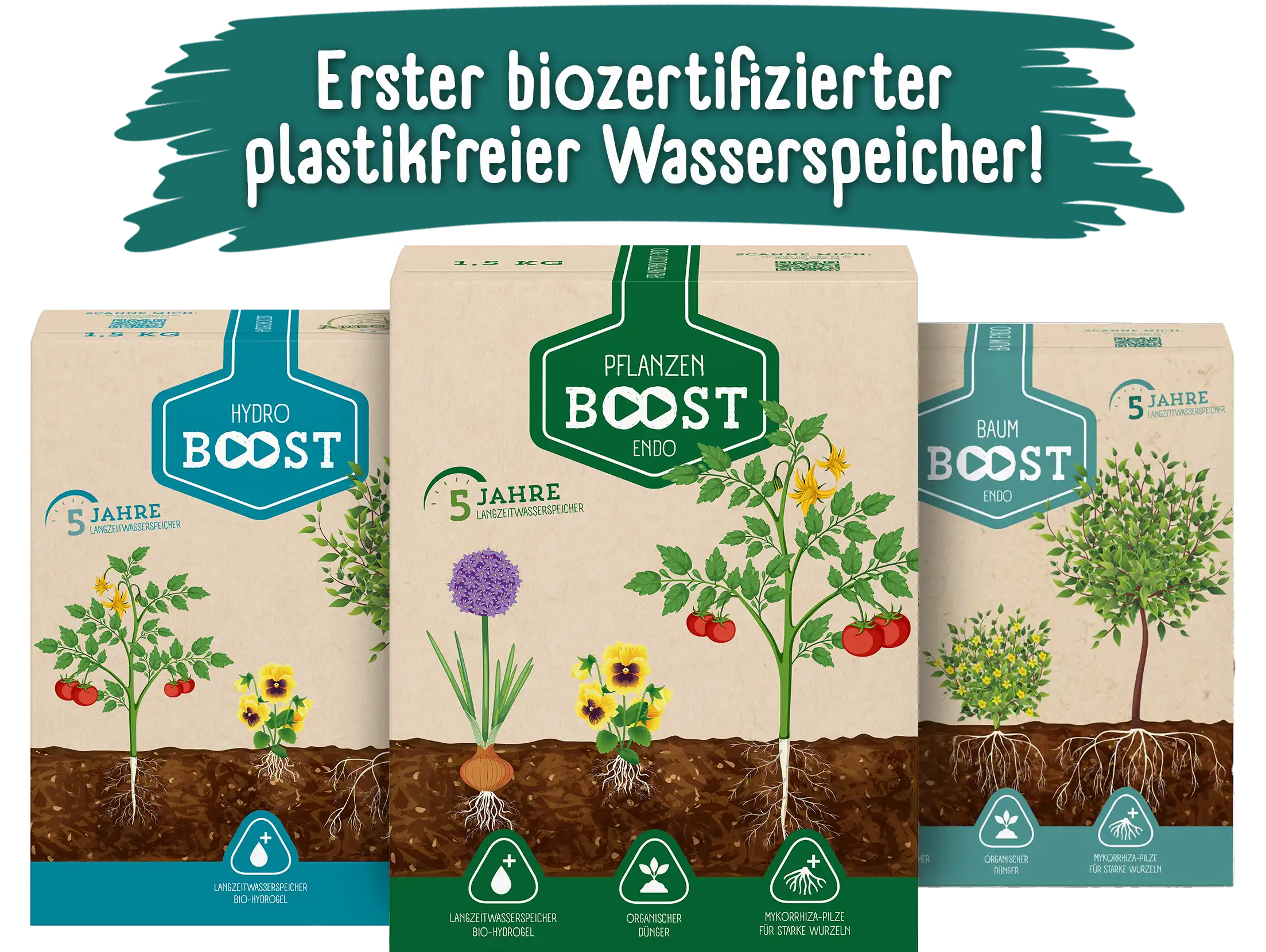 BaumBoost