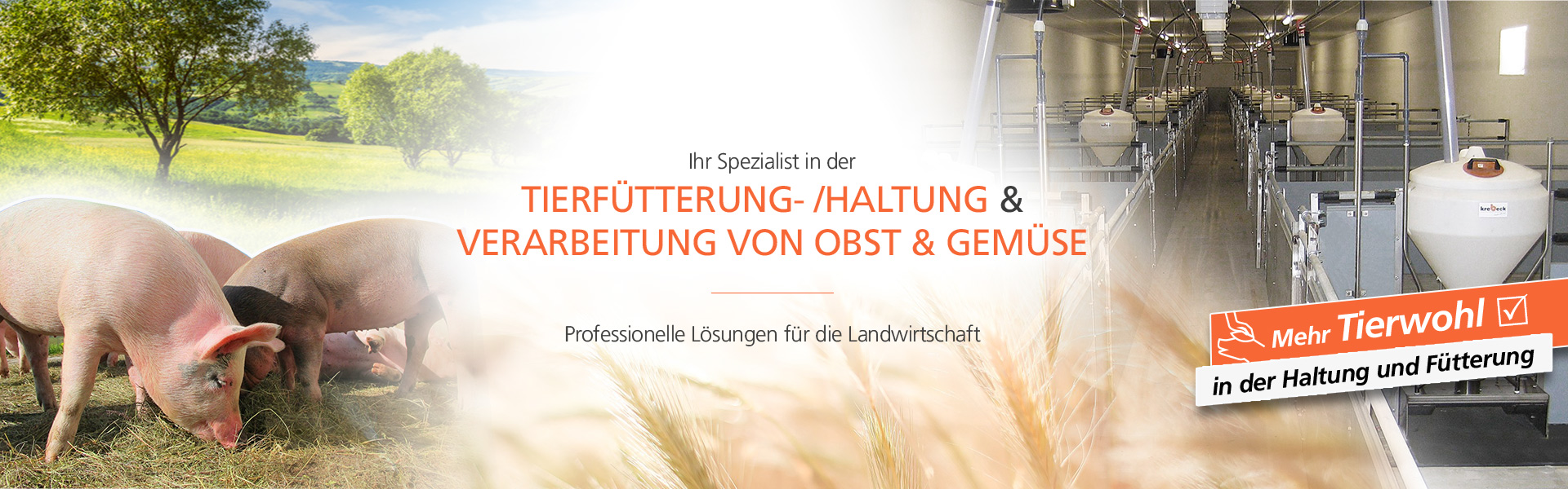 Krebeck Firmendarstellung