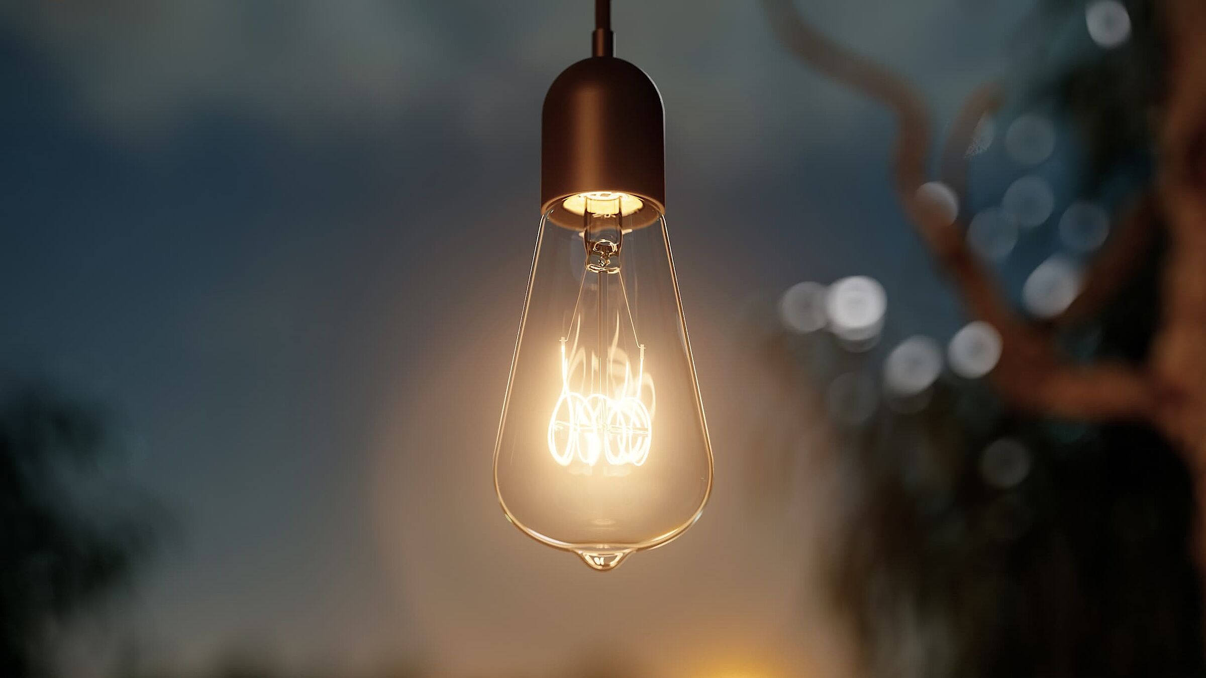 Edison Lampen Slim