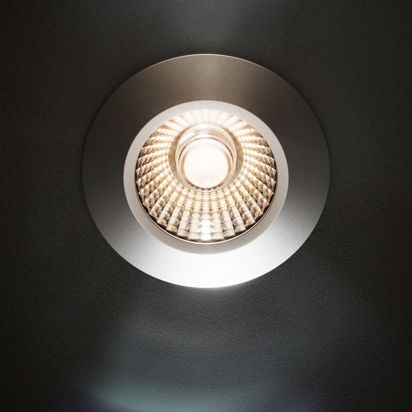 Diled Downlight