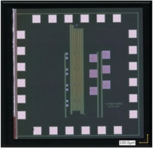 Embedded DPD (Sensor mit integrierter Front-End-Schaltung)