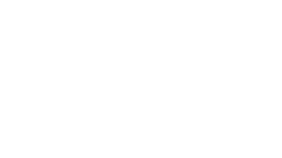 HT-750 – Heavy-Lift-Plattform