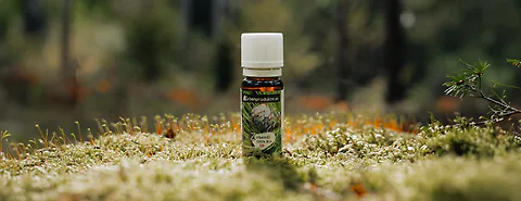 Fragrance & aroma – stone pine oil and sprays