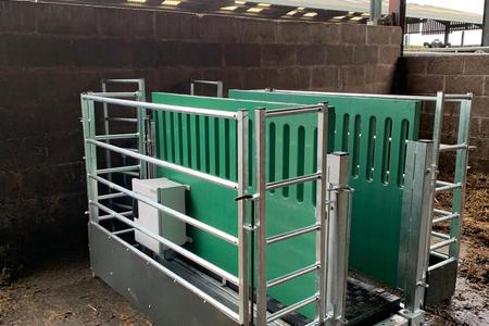 Wiegeplattform mit RFID (Animal ID)