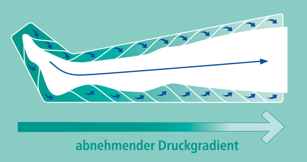 Wirkprinzip des gradienten 12-Stufen-Systems