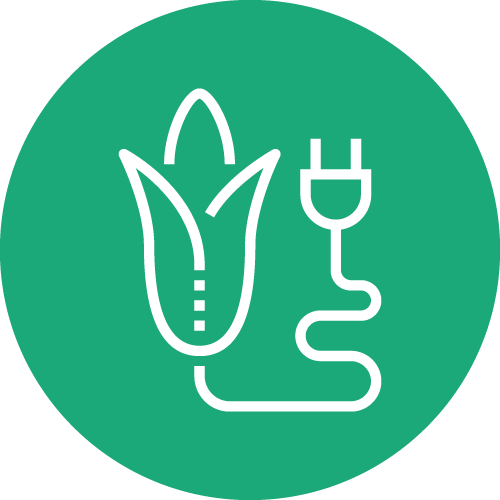 Biomasse
