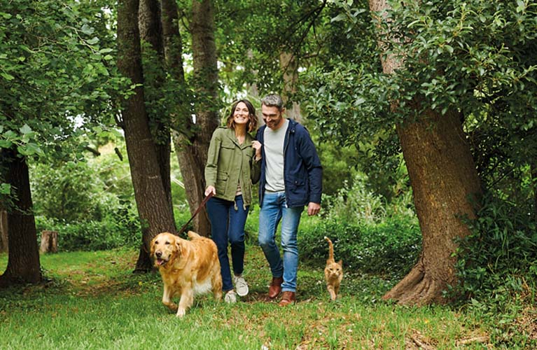animonda-Team mit Katze und Hund