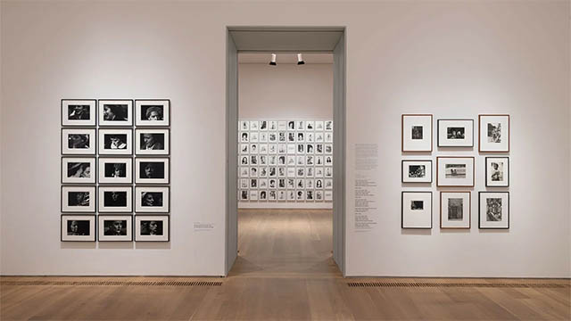 Referenzprojekt Ausstellungsbeleuchtung