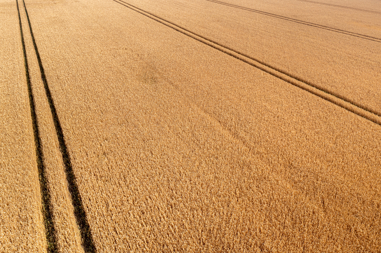 Drohneneinsatz in der Präzisionslandwirtschaft
