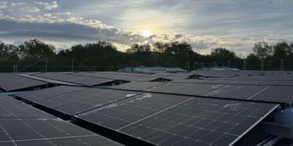 PV-Anlage auf dem Firmendach (ca. 310 kWp)
