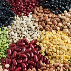 Produktkategorie Aminosäuren