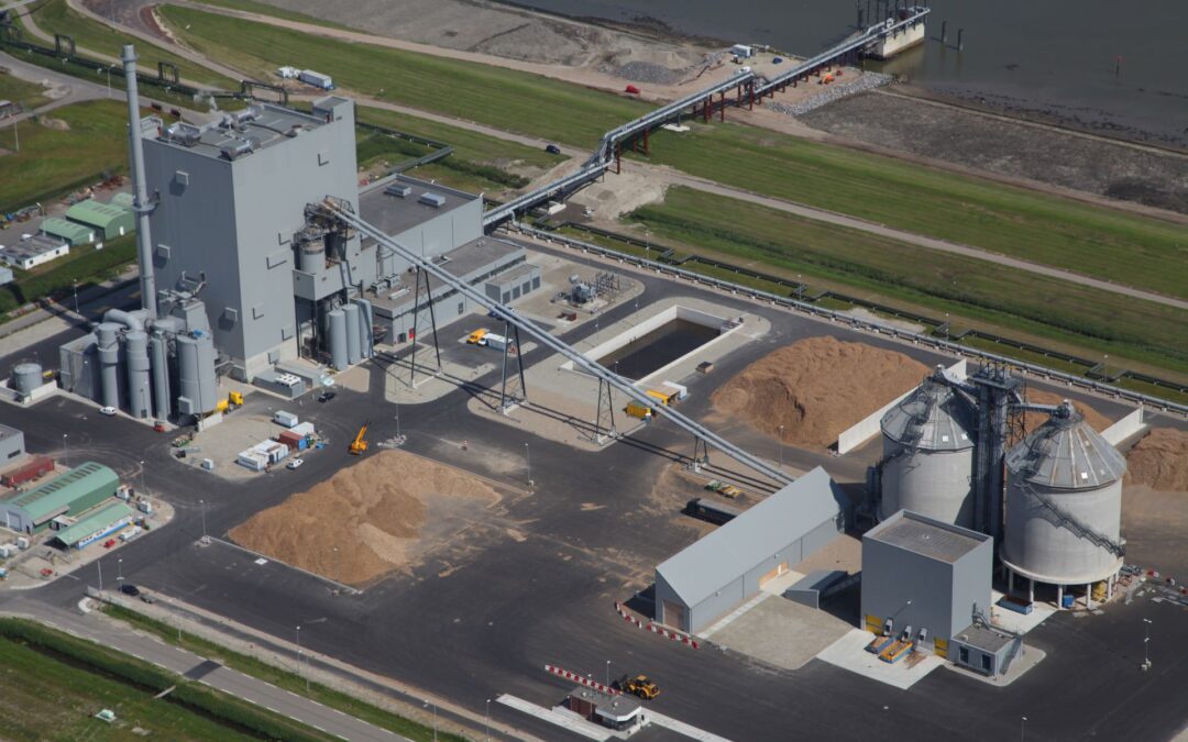 Biomass Fuel Handling