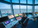 Video Surveillance (CCTV)