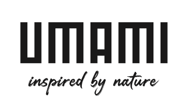 Referenzprojekt UMAMI AG, Zürich