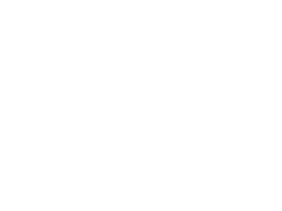 Reference: Seppeler
