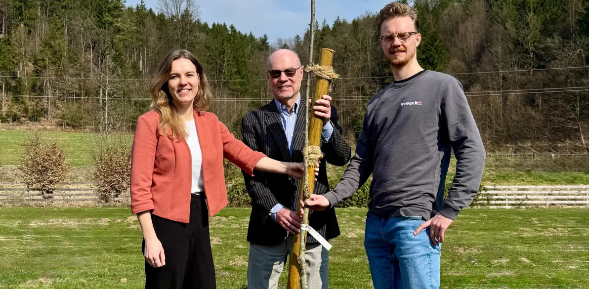 Gedenkbaum zum 40-jährigen Firmenjubiläum der Familie Wurm