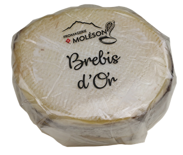 Brebis d'Or