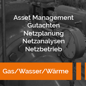 Rohrnetzanalyse Wärmenetze