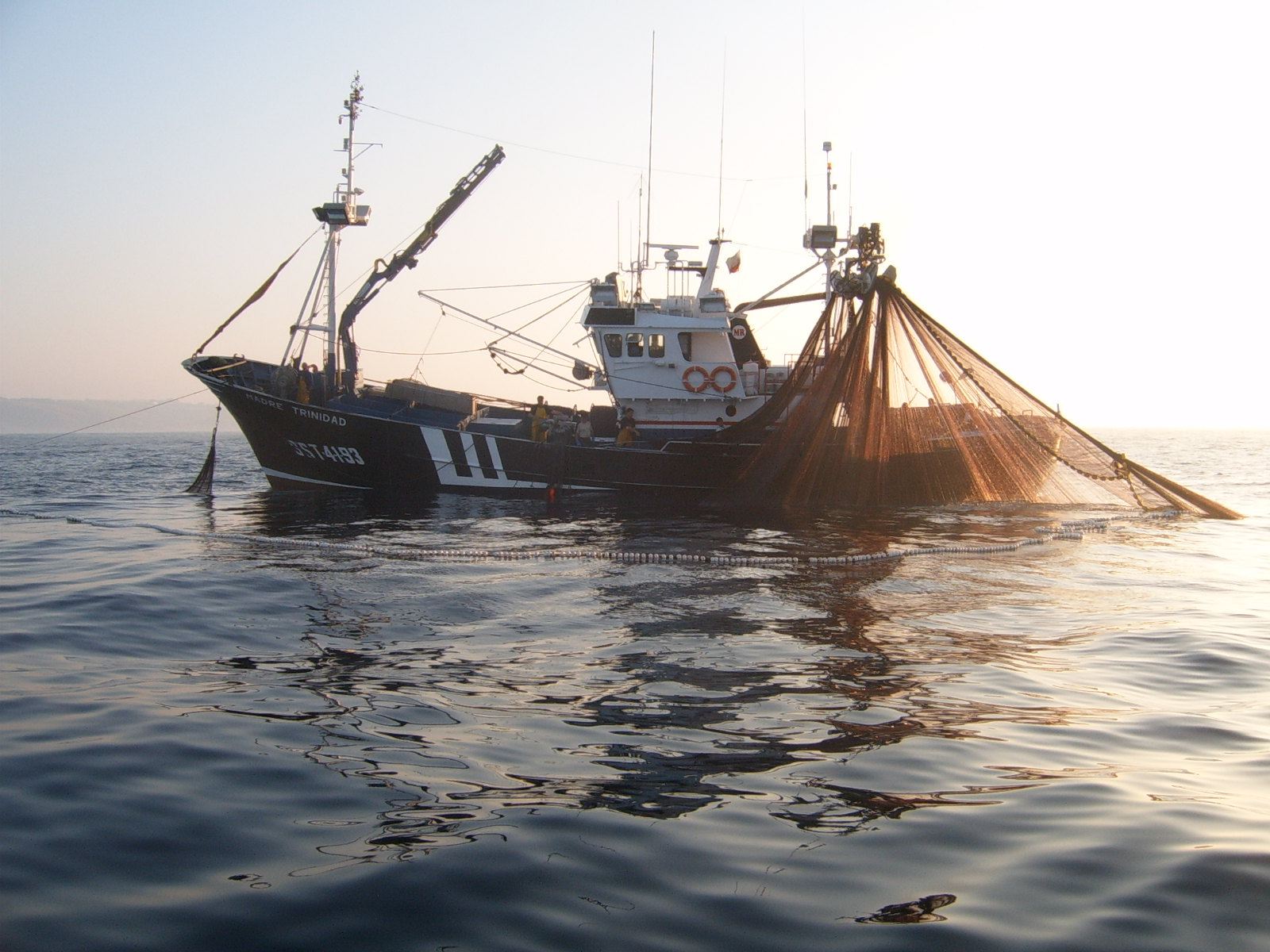 Fish Finder und Sonar
