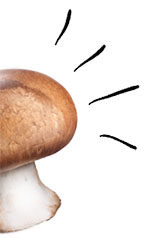 Tiefkühlpizza Pilz