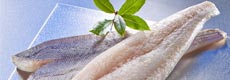 Hake Filets