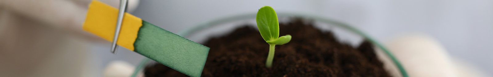 Probenmaterial für Material- und Baustoffprüfung