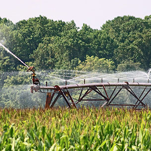 Agritech-Anwendung