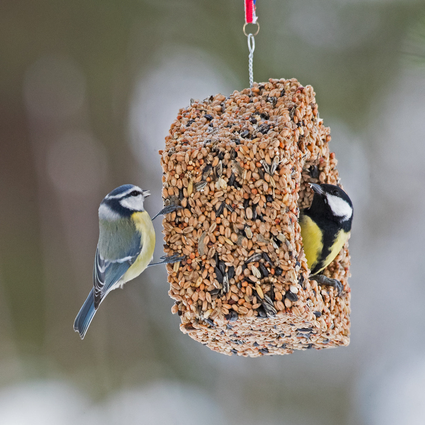 Cabane à Oiseaux – Vogelfutter