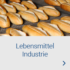 Prozesslinie Lebensmittelindustrie