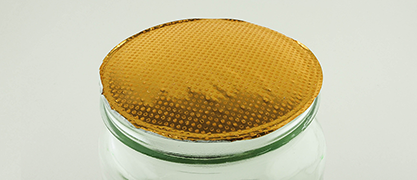 Wachspunkte Sealing Liner