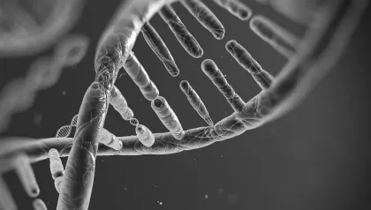 Reproduzierbares Dispensing von DNA, RNA und Oligos