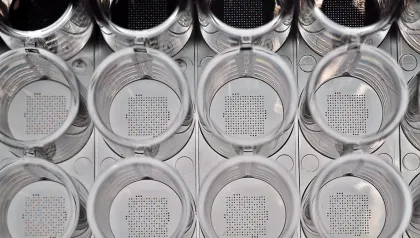 Picoliter-Microarray im Bodenglied eines 96-Well-MTP-Strip