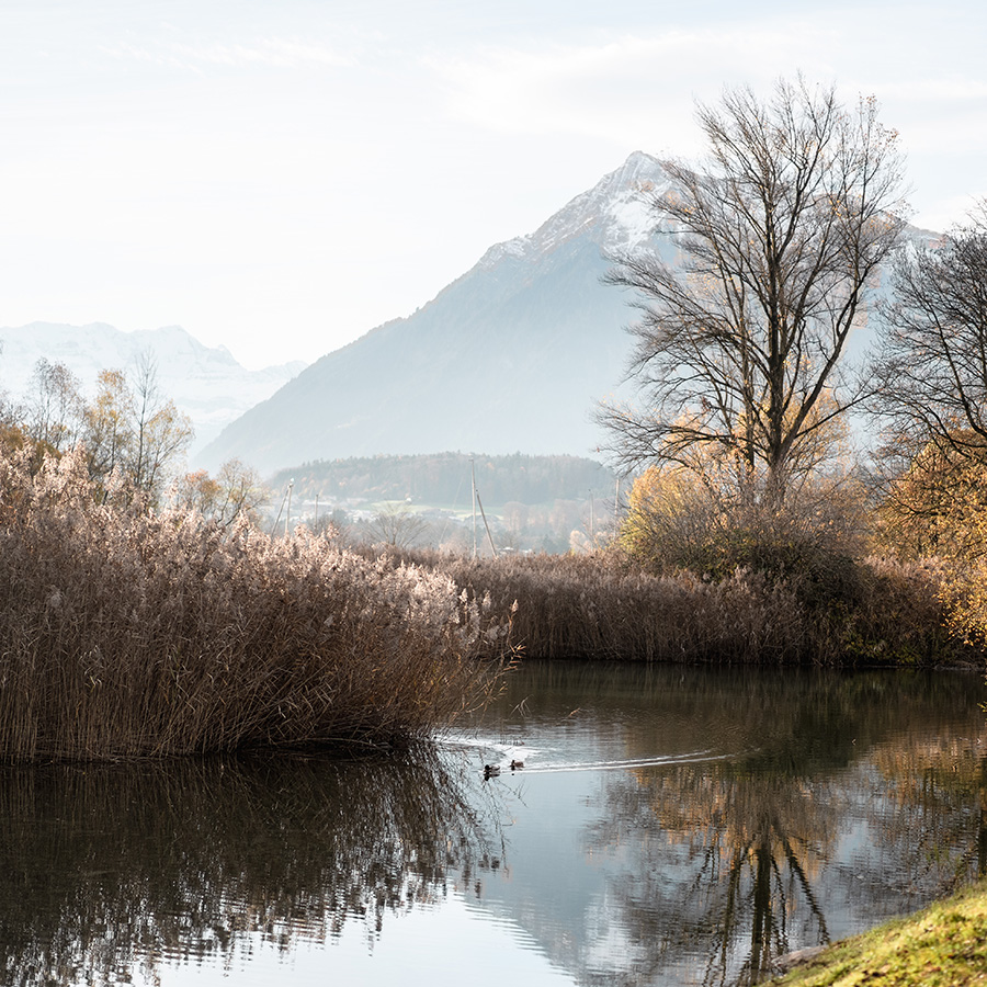 Liebi – Fertigung