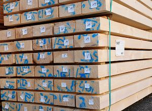 Holz für Baustoff und Bedachung