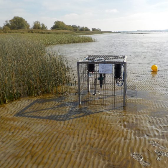 Wellenstress-Monitoring an Makrophyten