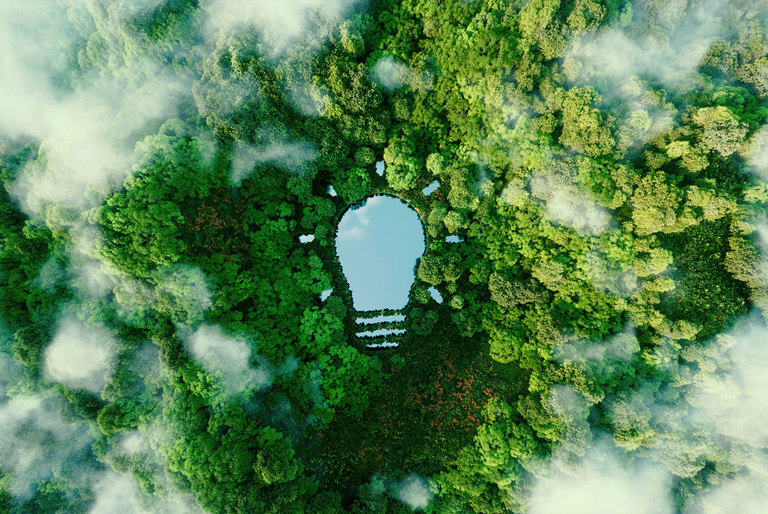 Green Investment in Bethel: Nachhaltigkeitsinitiative am