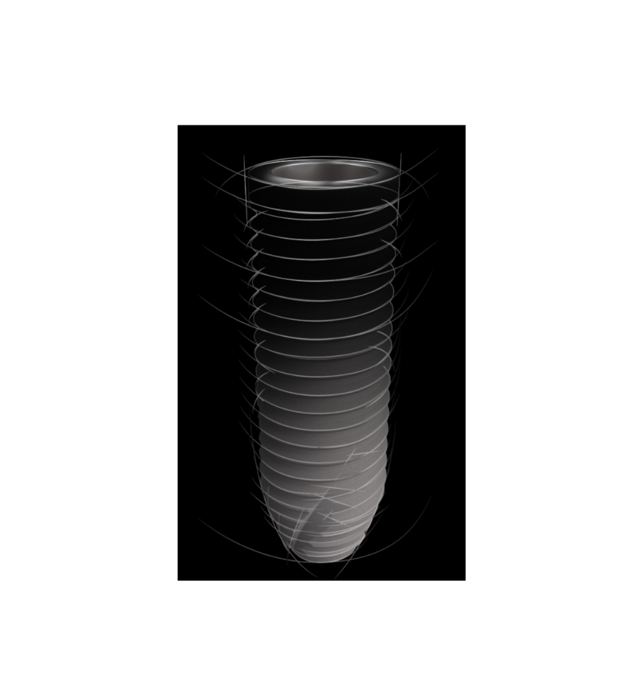 Implantatsystem