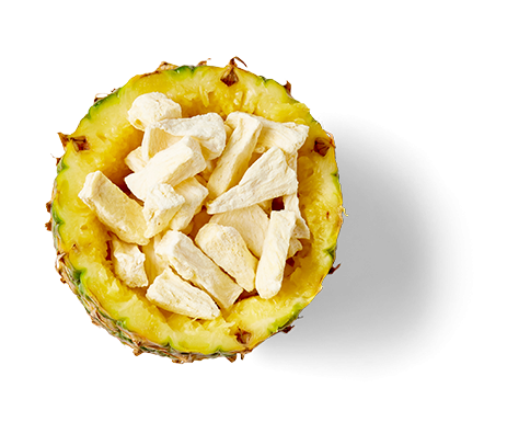 Ananas-Schale (Produktbeispiel)