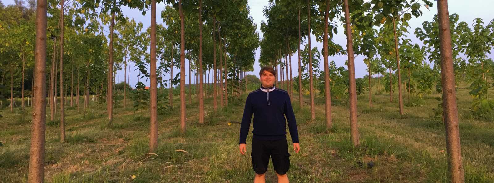 Paulownia-Plantage Razgrad I (Bulgarien)
